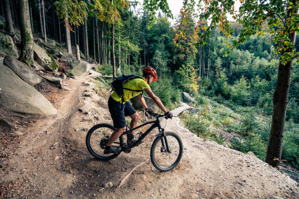 Mountain biker riding on bike on forest dirt trail stock photo