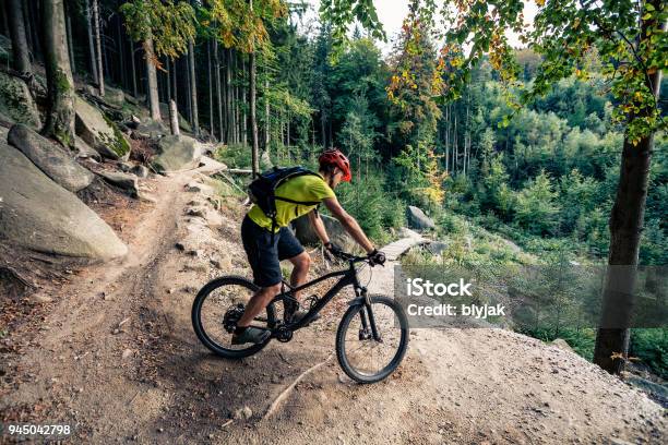 Mountain Biker Riding On Bike On Forest Dirt Trail Stock Photo - Download Image Now - Mountain Bike, Cycling, Bicycle