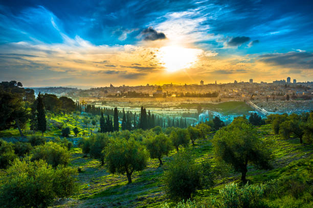 Jerusalem Sunset View of the Old City Jerusalem from the Mount of Olives with olive trees in the foreground jerusalem stock pictures, royalty-free photos & images