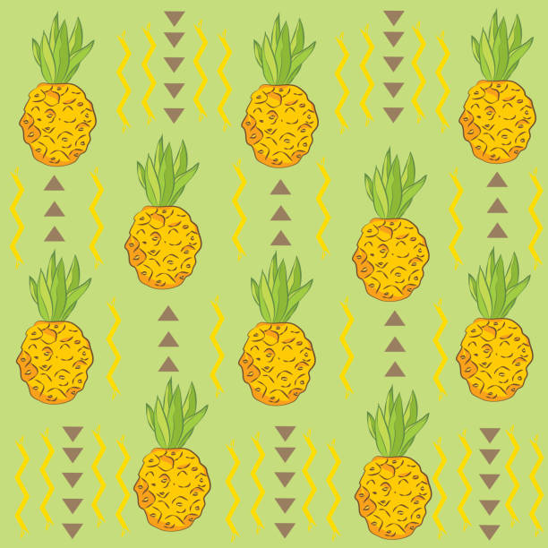 ananas-plantage hellen sonnigen hintergrund. vektor-bild. - pineapple plantation stock-grafiken, -clipart, -cartoons und -symbole