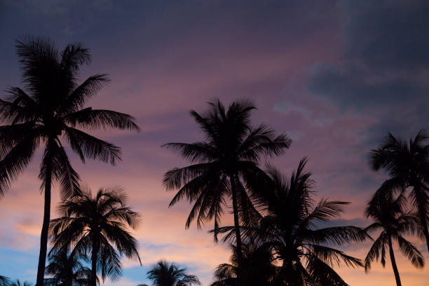 istock Decline by the sea 945056526