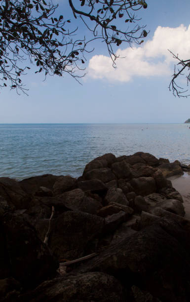 istock Decline by the sea 945056610