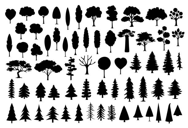 ilustraciones, imágenes clip art, dibujos animados e iconos de stock de conjunto de siluetas de árboles de dibujos animados de coníferas en color negro de recopilación de diferentes parque, bosque, - silueta ilustraciones