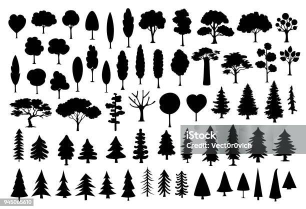 Collezione Di Diversi Parchi Foreste Conifere Cartoon Alberi Silhouette In Nero Colore Set - Immagini vettoriali stock e altre immagini di Albero