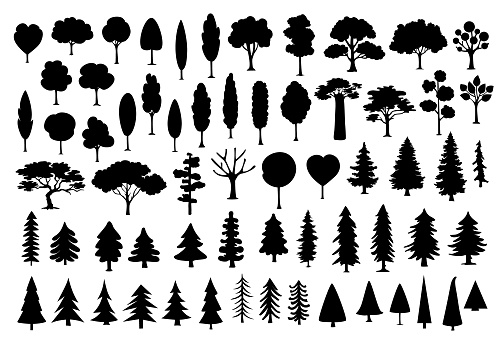 collection of different park, forest, conifer cartoon trees silhouettes in black color set