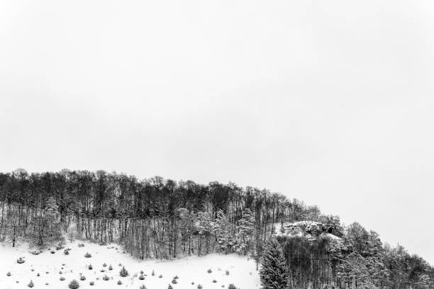 altmühltal valley side in black and white with fresh snow - altmühltal imagens e fotografias de stock