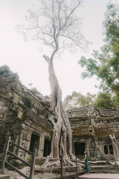 istock Young Caucasian woman   in Ta Prohm temple 945068768