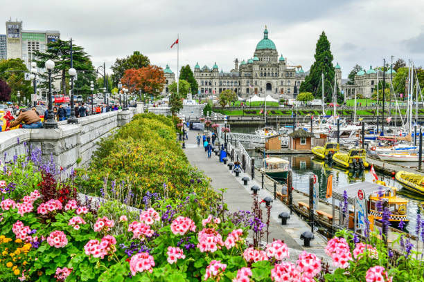 porto interior em victoria, canadá - porto de victoria - fotografias e filmes do acervo