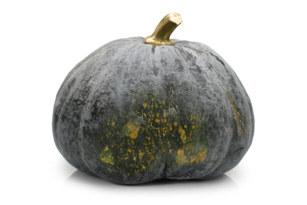 istock Japanese pumpkin kabocha on a white background 945070442