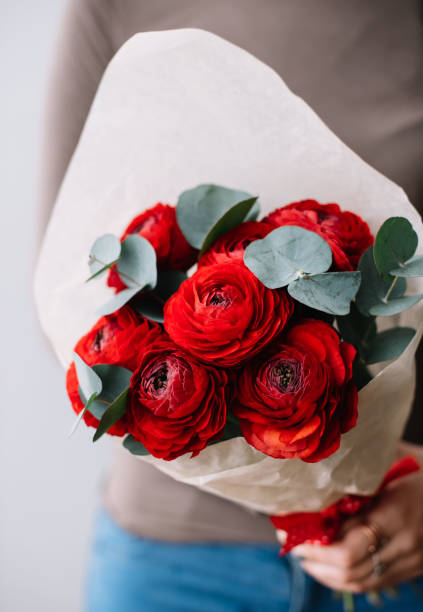 Very nice young woman holding a colourful fresh blossoming flower bouquet of crimson red vivid ranunculus and Eucalyptus on the grey wall background stock photo