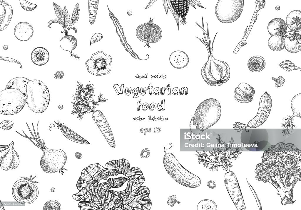 Organic vegetables food banners. Healthy food. Engraving sketch vintage style. Vegetarian food for design menu, recipes, decoration kitchen items. Great for label, poster, packaging design. Organic vegetables food banners. Healthy food. Engraving sketch vintage style. Vegetarian food for design menu, recipes, decoration kitchen items. Great for label, poster, packaging design Vegetable stock vector