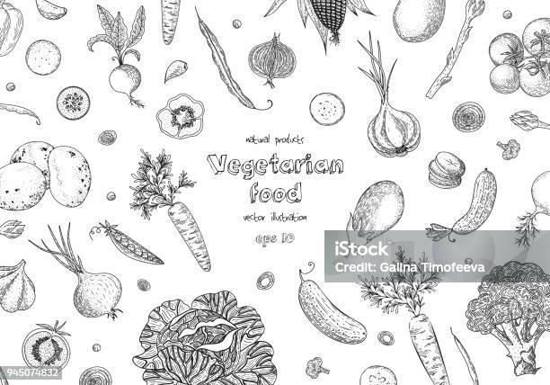 Organic Vegetables Food Banners Healthy Food Engraving Sketch Vintage Style Vegetarian Food For Design Menu Recipes Decoration Kitchen Items Great For Label Poster Packaging Design Stock Illustration - Download Image Now