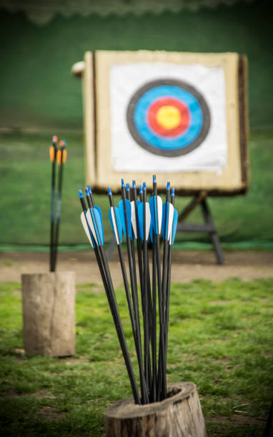Target Practice Arrows and a target in a field archery photos stock pictures, royalty-free photos & images