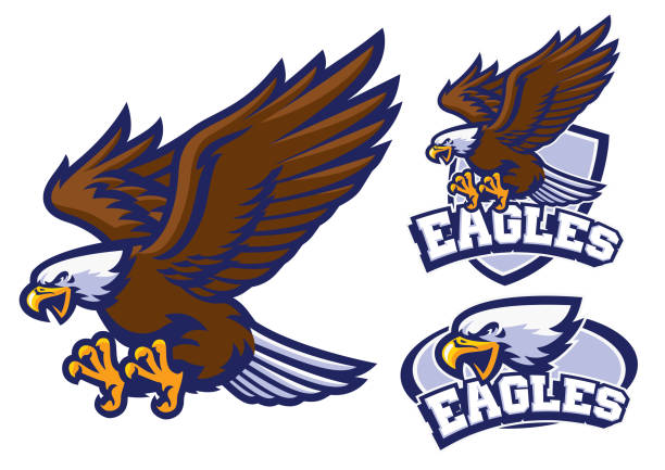 vector of eagle character set in sport mascot style