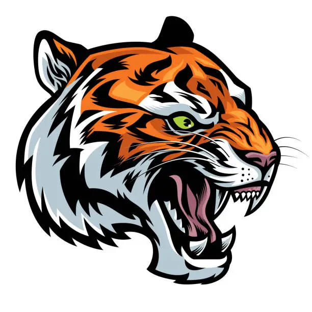 Vector illustration of angry tiger head roaring