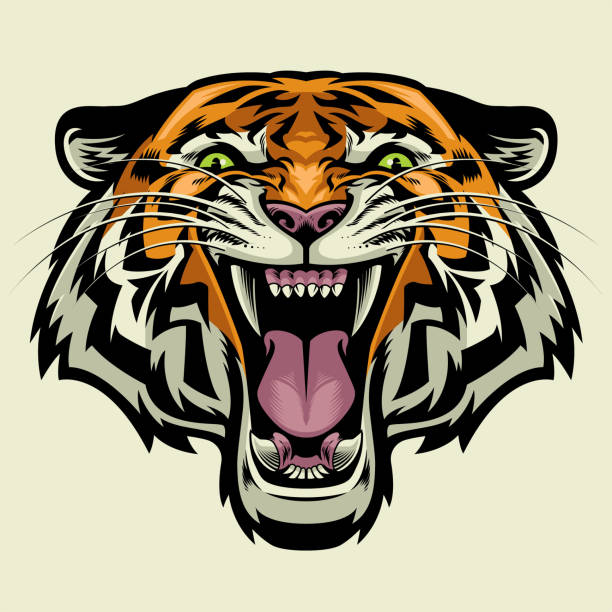 bildbanksillustrationer, clip art samt tecknat material och ikoner med angry tiger huvud - sumatratiger