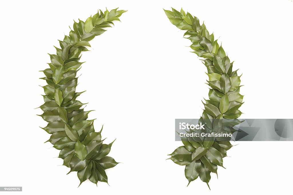 Green wreath isolated on white  Crown - Headwear Stock Photo