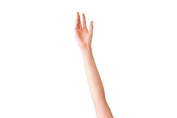 istock Female hand reaching out on isolated background 945093184