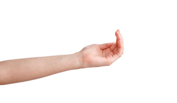 istock Female hand holding something on isolated background 945093400
