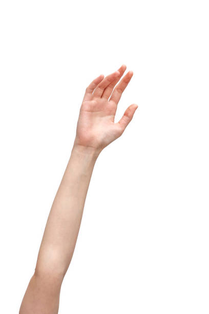 istock Female hand reaching out on isolated background 945093536