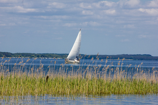 Sailboat on a lake in summer in sunny weather