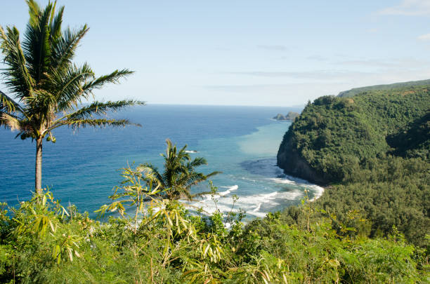End of the road, North shore Big Island Hawaii, Pololu Overlook Gorgeous Pololu overlook, North Shore of the Big Island of Hawaii pololu stock pictures, royalty-free photos & images