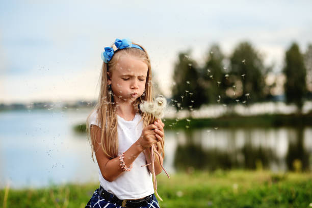 girl blowing on dandelion, summer in nature