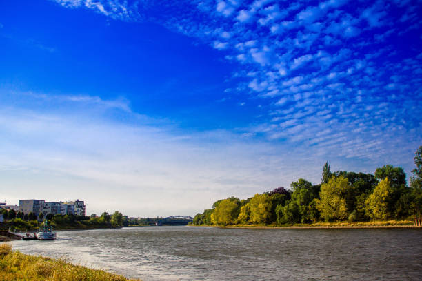 istock Shore of the river Elbe in sunny weather 945101406