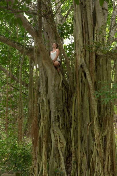 istock Young woman climbs tree in jungle 945104178