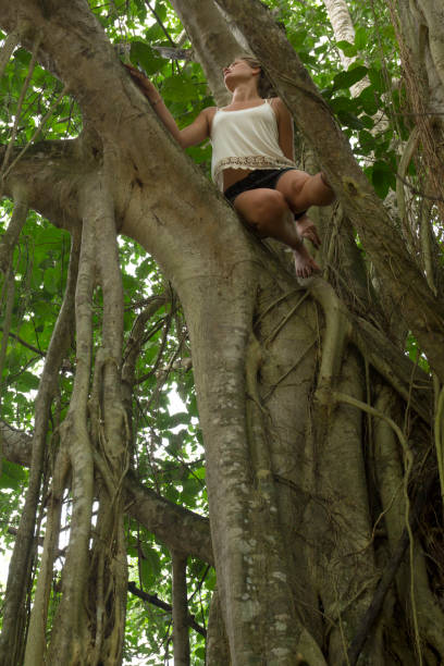 Young woman climbs tree in jungle