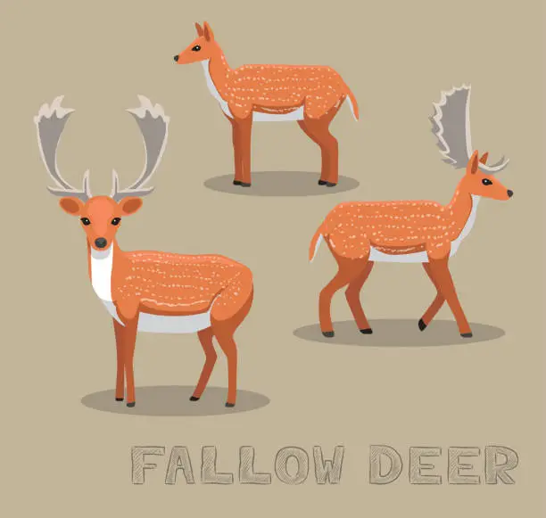 Vector illustration of Deer Fallow Cartoon Vector Illustration