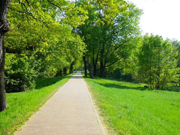 istock Bike path in the park green meadows and trees 945106702