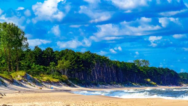 istock empty Baltic Sea coast in sunny weather in summer 945106794