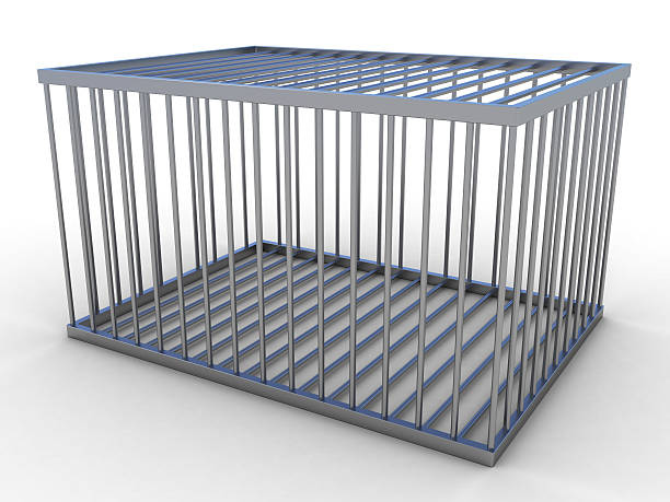 a large empty animal cage isolated on a white background - 籠子 個照片及圖片檔