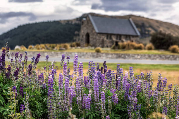 istock New Zealand view 945117316