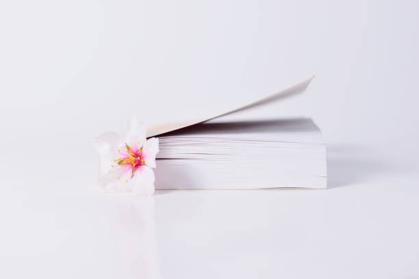 istock Book with an almond blossom between pages 945120982