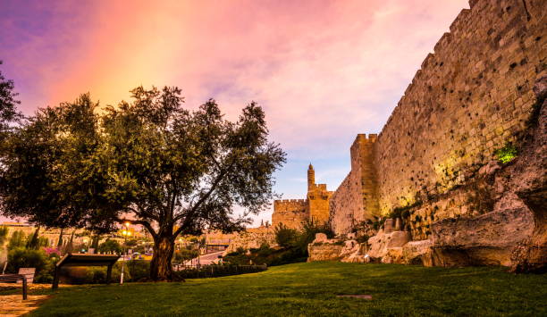 wieża dawida - jerusalem israel tree ancient zdjęcia i obrazy z banku zdjęć