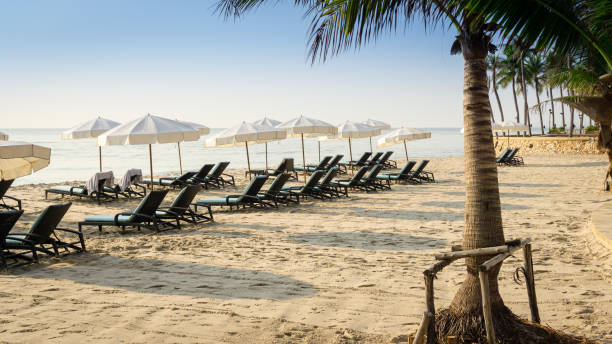 istock many sun beds and white umbrellas on the beach 945125272