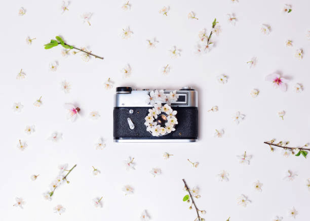 istock Old retro camera with spring flowers on a white background 945128944