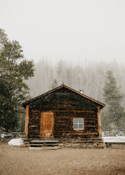 Image taken during a snow shoeing adventure, in the Inyo National Forest, near the welcome center in Mammoth Lakes, CA.