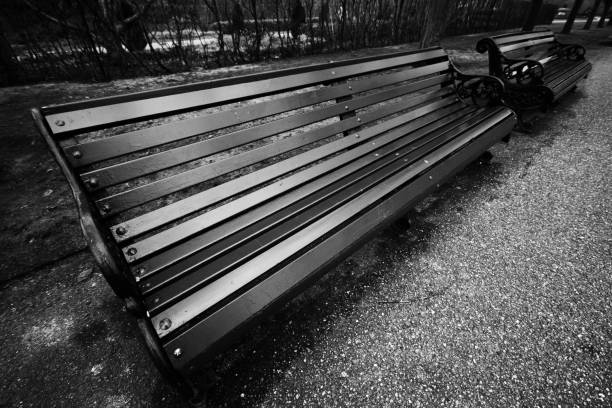 Park benches in a  London public park.