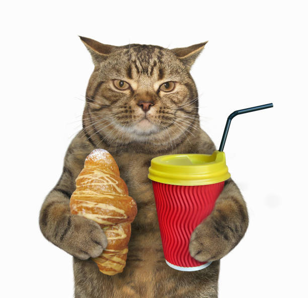 istock Cat with a croissant and cappuccino 945141138