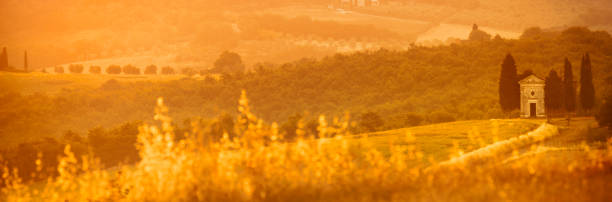 istock Tiny Vitale chapel in a golden wheat field in Tuscany 945144412