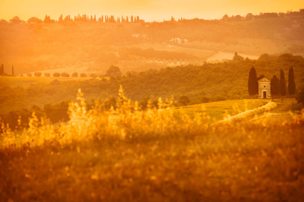 istock Dramatic sunset of Tuscan landscape with tiny Vitale chapel in a golden wheat field 945144476