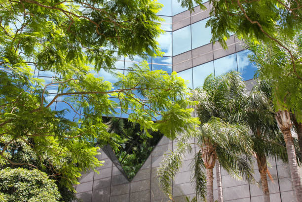 istock Tropical trees against a very modern building reflecting blue sky and clouds 945144740