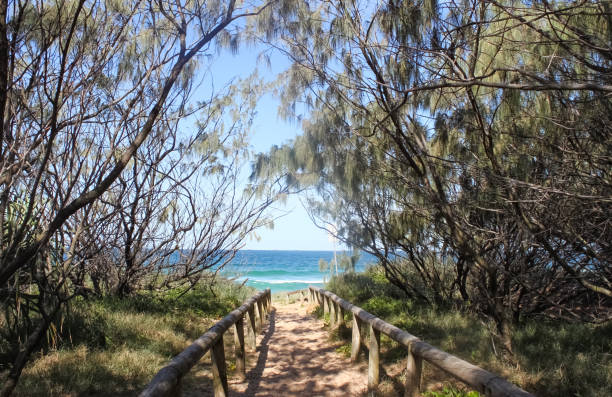 istock Tree lined trail down to the beach and very blue water near Mooloolaba in Queensland Australia 945144996
