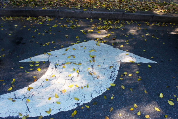 istock Painted Arrow on Road By Curb With Fallen Autumn Leaves 945145102