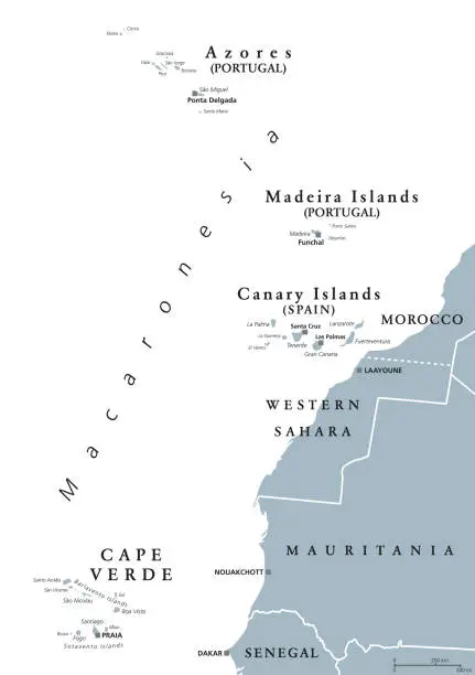 Vector illustration of Macaronesia, gray map, Azores, Cape Verde, Madeira, Canary Islands