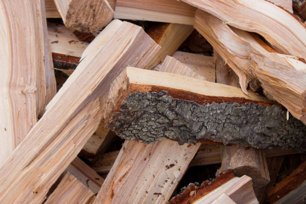 istock Heap of chopped birch firewood 945152514
