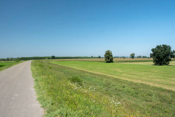 Rural landscape along the Po cycle path Rural landscape along the Po cycle path near Guzzafame (Lodi, Lombardy, Italy) at summer lodi italy stock pictures, royalty-free photos & images